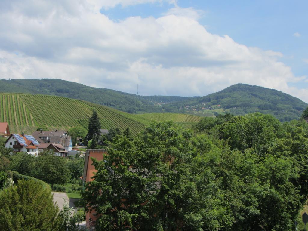 Gasthaus Zur Graesselmuehle Sasbach  Dış mekan fotoğraf